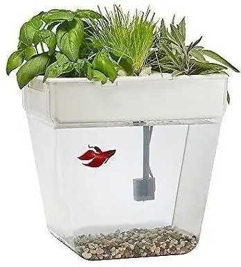 Tillbaka till Roots Water Garden Fish Tank