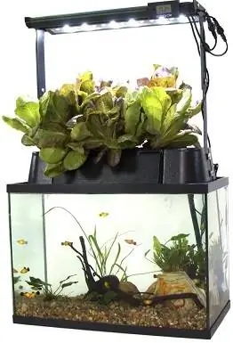 ECO-Cycle Aquaponics inomhusträdgårdssystem