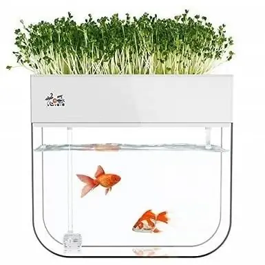 Huamuyu Hydroponic Garden Aquaponic загасны сав