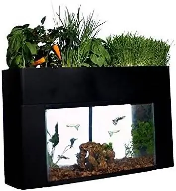 AquaSprouts bog'i