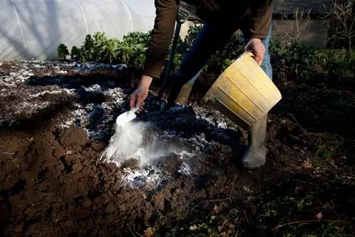 uomo che applica calce nel terreno