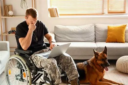 Soldat der US-Armee im Rollstuhl mit Laptop und seinem deutschen Schäferhund