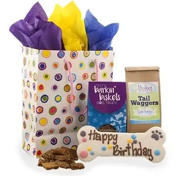 Doggy Birthday Gift-PamperedPawGifts