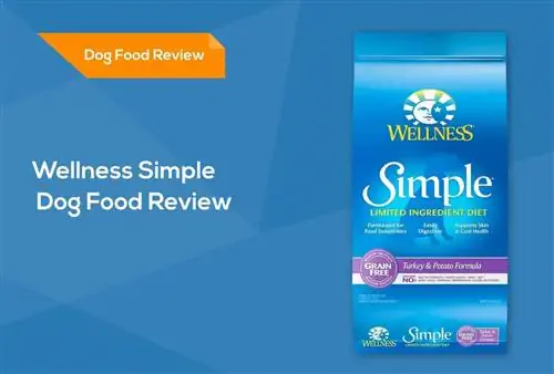 Wellness Simple Dog Food Review 2023: Эскертүү, Жакшы жактары & Кемчиликтери