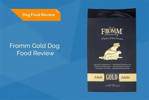 Fromm Gold Dog Food Review 2023: przypomina, zalety & minusy