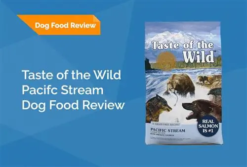 Taste of the Wild Pacific Stream Dog Food Review 2023: herinneringen, voor- en nadelen