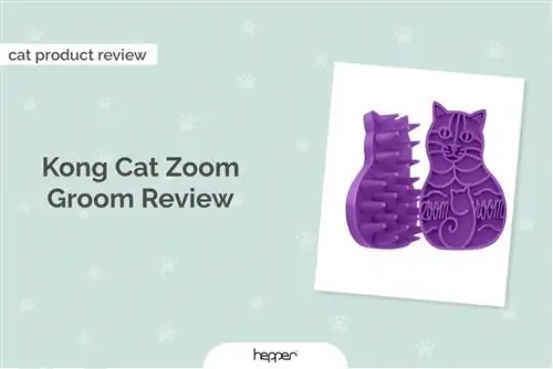 KONG Cat Zoom Groom Brush Review 2023 – Жакшы жактары, кемчиликтери, КБС, & Өкүм