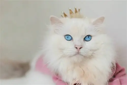 Poupée de chiffon blanche avec une couronne