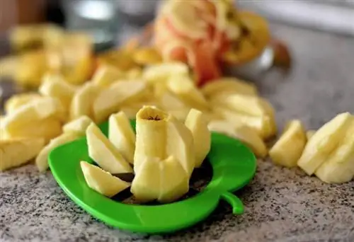 sliced txiv apples