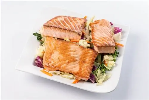 Salmon thiab zaub