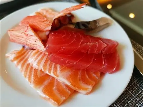 salmon