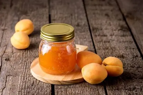 apricots jelly