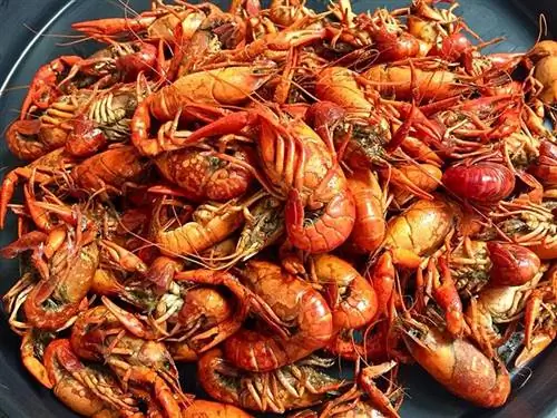 Crawfish