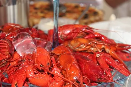 Ulam ng Crawfish