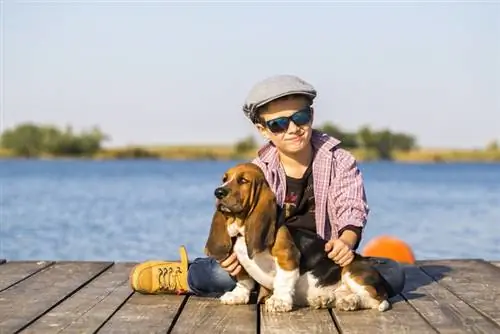 Magaling ba ang Basset Hounds sa mga Bata? Mga Potensyal na Benepisyo sa Mga Tip sa Pagsasanay & Mga Tip sa Pagsasanay