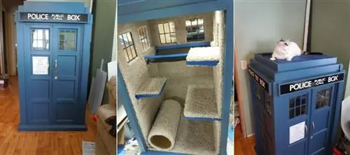 Tardis Cat Playhouse DIY - шығармашылық