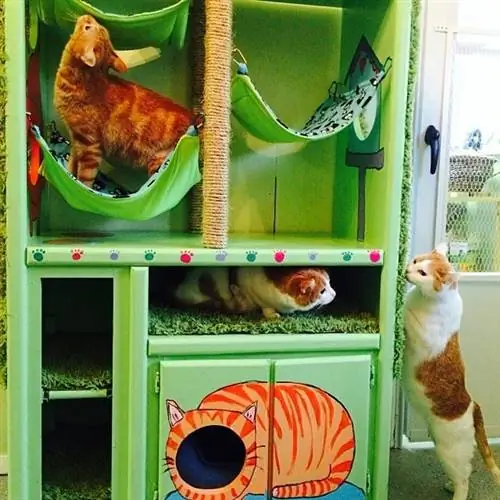 Pretties hechos a mano DIY Cat Hotel - Pretties hechos a mano