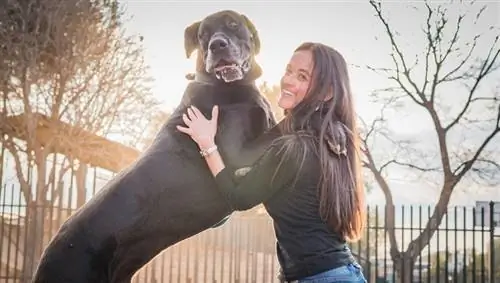 femme et son grand danois