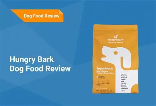 Đánh giá thức ăn cho chó Hungry Bark 2023: Thu hồi, Ưu điểm & Nhược điểm