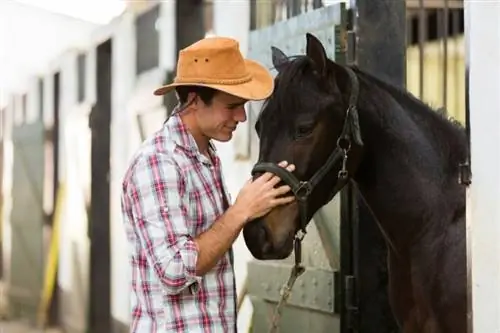 homme réconfortant un cheval dans une écurie