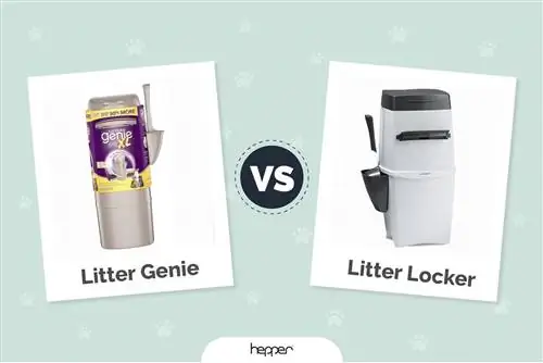 Litter Genie vs LitterLocker: koji je bolji za moju mačku?