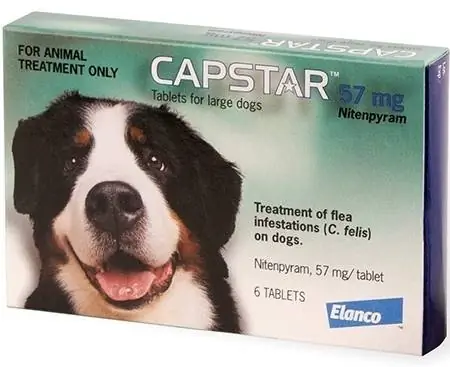 Capstar Flea Treatment Tablet