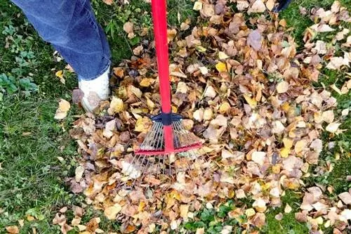 Osoba, ktorá zametá dvor plný lístia