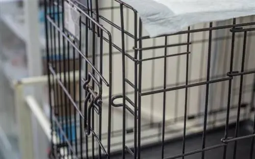 caisse ou cage grillagée pour animaux de compagnie