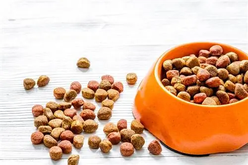 comida de cachorro seca na tigela e na mesa de madeira