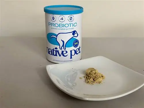 probiotic los ntawm cov tsiaj yug tsiaj