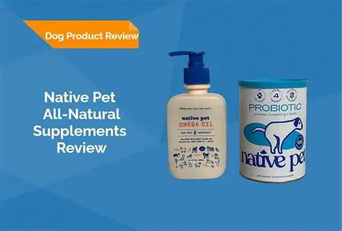 Native Pet All-Natural Supplements Review 2023: Asiantuntijamme lausunto