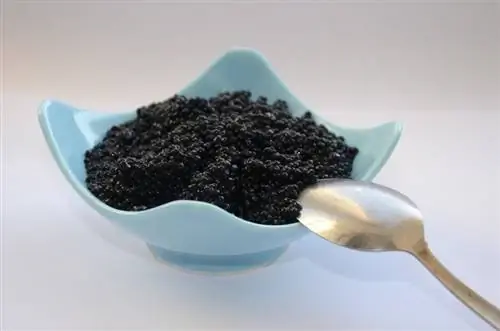 Caviar noir dans une soucoupe blanche