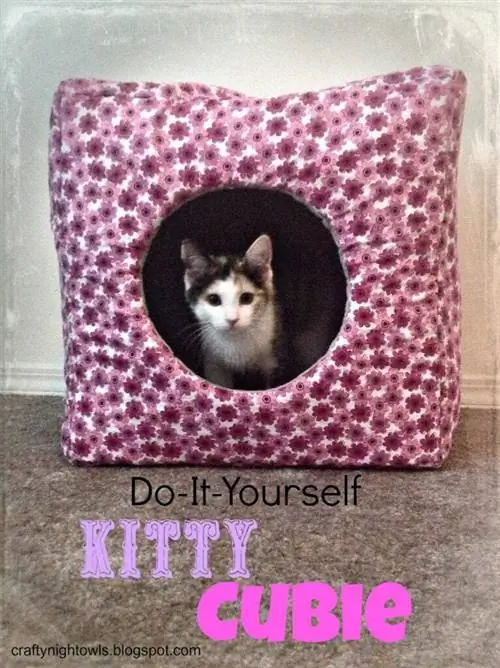 Kitty Cubicle-iheart kassid