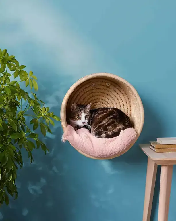 Cat Basket Bed- Martha Stewart