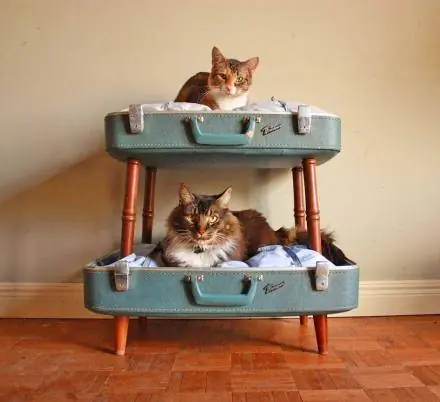 Suitcase Cat Bunk Bed- Oddity mall