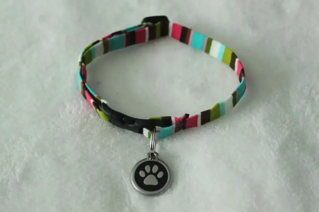 No-Sew Cat Collar- 'n geveerde steek