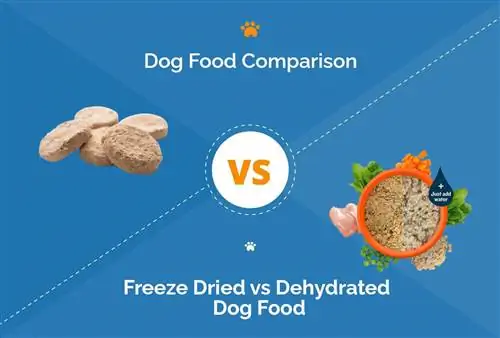 Lyofilizované vs dehydrované krmivo pre psov – čo si mám vybrať?