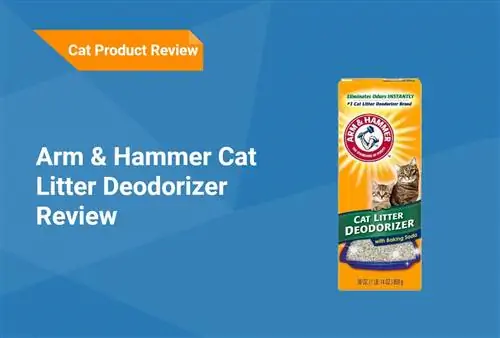 Arm & Hammer Cat Litter Deodorizer მიმოხილვა 2023: დადებითი, უარყოფითი მხარეები & ვერდიქტი