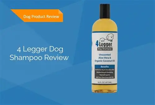 4 Legger Dog Shampoo Review 2023 – დადებითი, უარყოფითი მხარეები, & საბოლოო ვერდიქტი