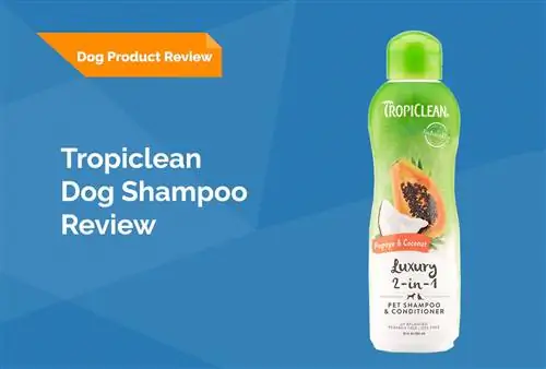 TropiClean Dog Shampoo Review 2023 – Klady, zápory & Konečný verdikt