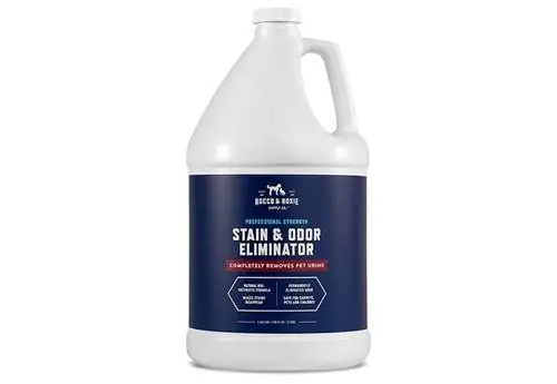 Rocco & Roxie Stain & Odor Eliminator 1 გალ