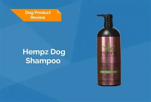 Hempz Dog Shampoo Review 2023 – Klady, zápory, & Konečný verdikt