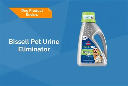 Bissell Pet Urine Eliminator Review 2023 – Klady, zápory, & Konečný verdikt