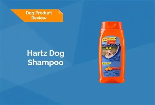 Hartz Dog Shampoo Review 2023 – plussat, miinukset, & lopullinen tuomio