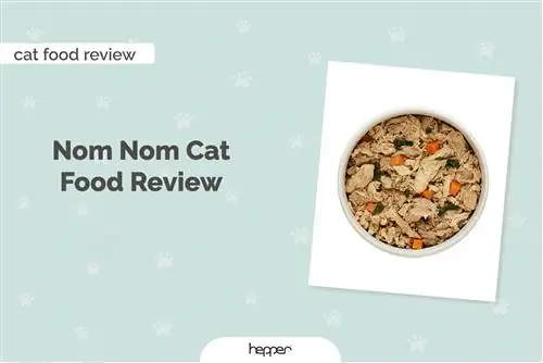 Nom Nom Cat Food Review 2023 – Voors, tegens & Oordeel