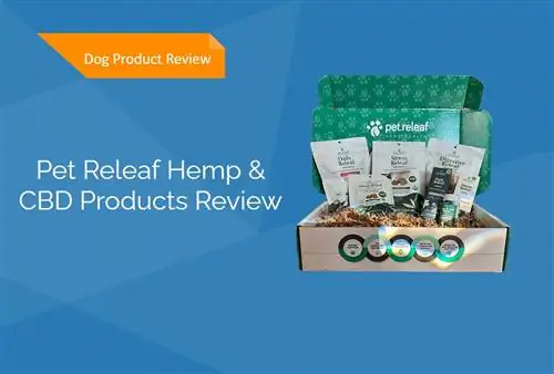 Pet Releaf Hemp & Ulasan Produk CBD 2023: Pendapat Pakar Kami