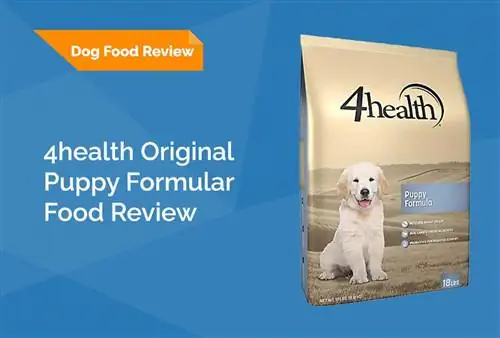 4He alth Original Puppy Formula Kutyaeledel felülvizsgálata 2023: Visszahívások, előnyök & Hátrányok