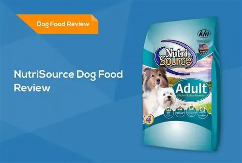 NutriSource Dog Food Review 2023: Rov qab, Pros & Cons