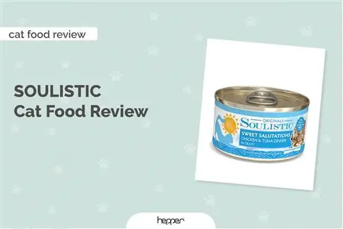 Soulistic Cat Food Review 2023: herinneringen, voordelen & nadelen