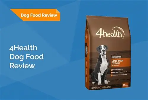 4He alth Grain Free Dog Food Review 2023: herinneringen, voordelen & nadelen